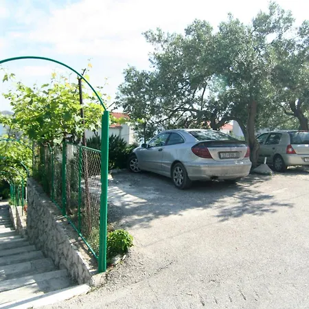 Marta * טרוגיר